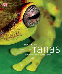 Ranas: el mundo de los anfibios al descubierto