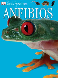 Anfibios
