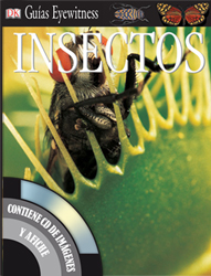 Insectos