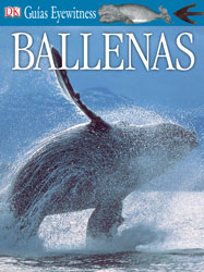 Ballenas
