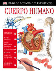 Cuerpo Humano