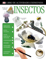 Insectos