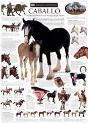 Caballo