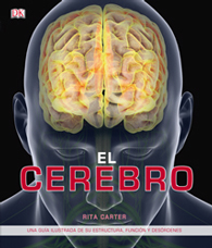 El cerebro: una guía ilustrada de sus estructuras, funciones y trastornos