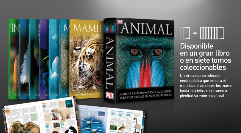 ideas-animal