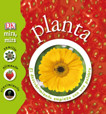 Planta